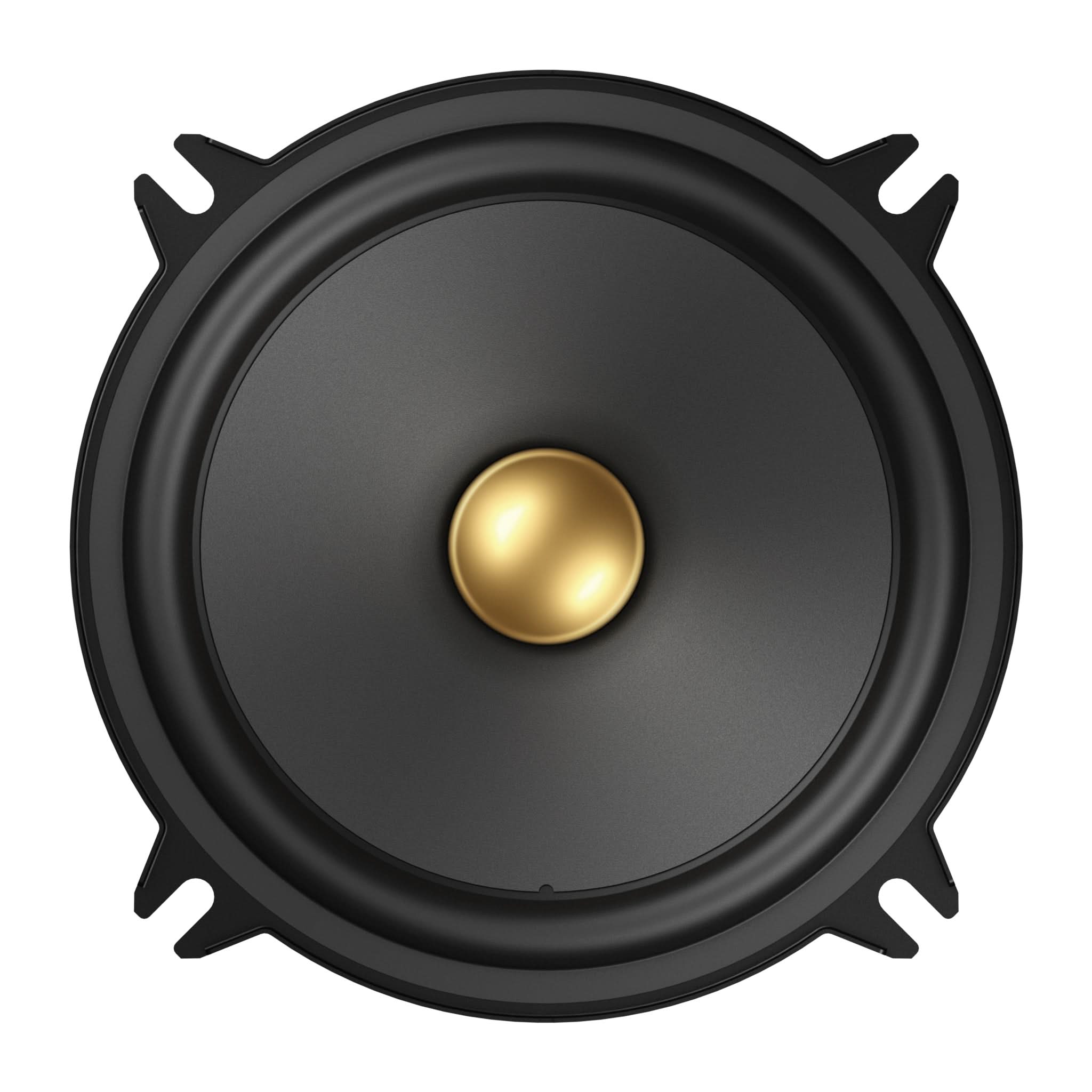 Pioneer_TS-A1301C_Installed Image