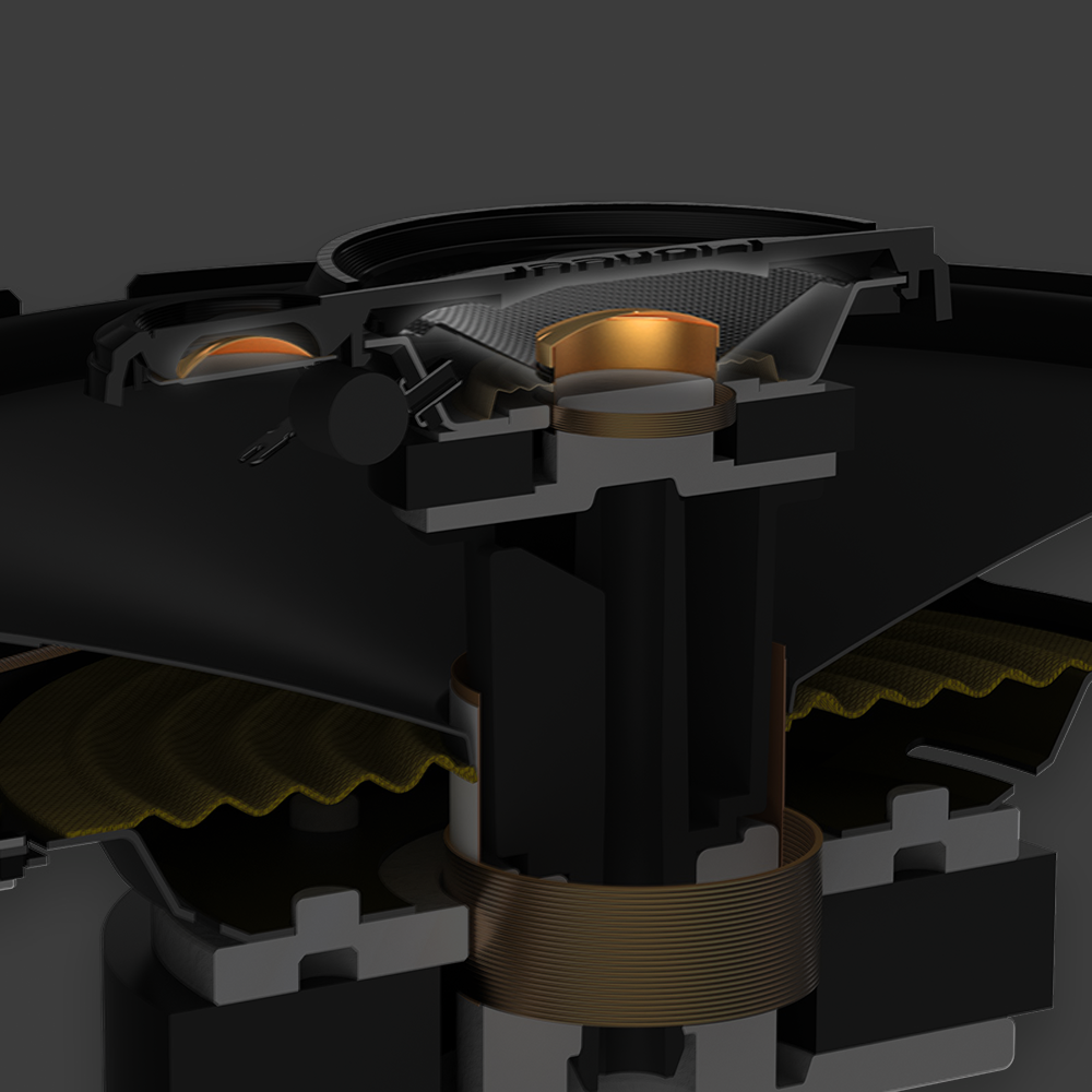 inside shot of speaker