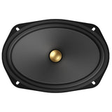 Black speaker with a gold driver on a white background