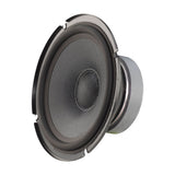 Speaker cone with metallic rim on a white background