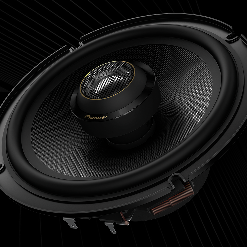 angled view of speaker