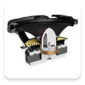 inside view of tweeter